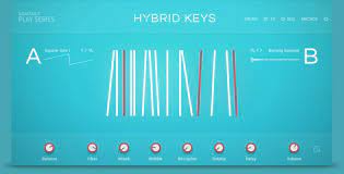 Native Instruments Hybrid Keys Play Series